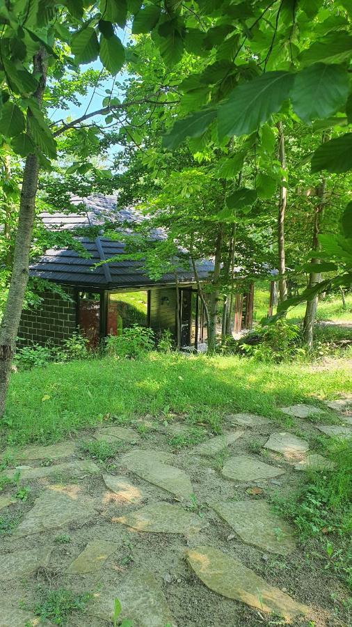 Vatra Boiereasca Bed & Breakfast คาชิกา ภายนอก รูปภาพ